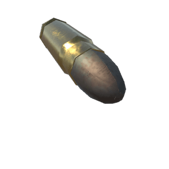 8 x 22 mm Nambu Round_1